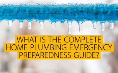 WHAT IS THE COMPLETE HOME PLUMBING EMERGENCY PREPAREDNESS GUIDE? 